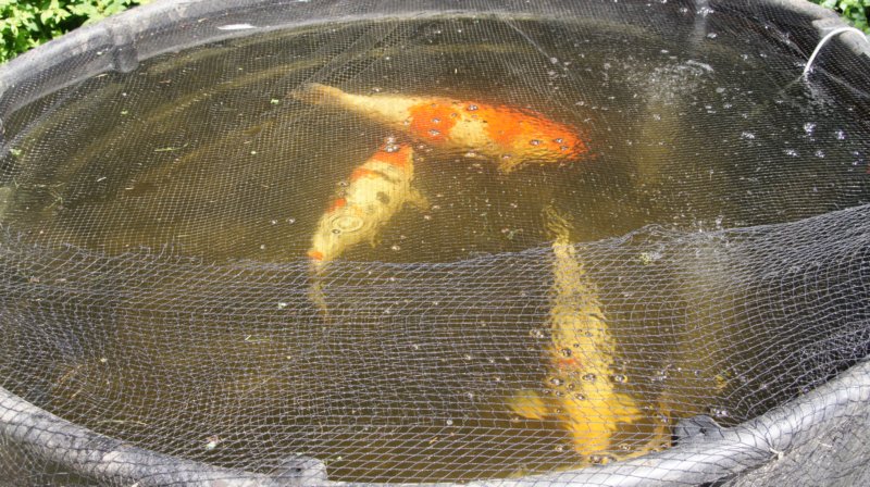 dsc00406.jpg