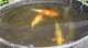 dsc00406_small.jpg