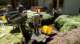 dsc00410_small.jpg
