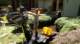 dsc00412_small.jpg
