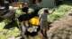 dsc00413_small.jpg