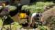 dsc00414_small.jpg