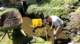 dsc00415_small.jpg
