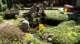 dsc00416_small.jpg