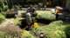 dsc00418_small.jpg