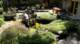 dsc00420_small.jpg