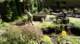 dsc00421_small.jpg