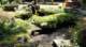 dsc00423_small.jpg