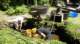 dsc00424_small.jpg