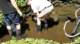 dsc00430_small.jpg