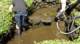 dsc00431_small.jpg