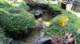 dsc00432_small.jpg
