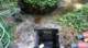 dsc00433_small.jpg