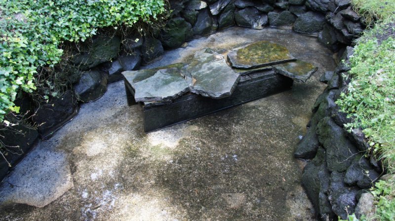 dsc00434.jpg