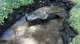 dsc00434_small.jpg