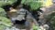dsc00435_small.jpg