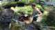 dsc00437_small.jpg