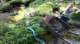 dsc00439_small.jpg