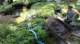 dsc00440_small.jpg