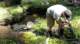dsc00441_small.jpg