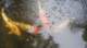 dsc00443_small.jpg