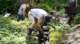 dsc00444_small.jpg