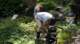 dsc00445_small.jpg