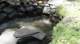 dsc00446_small.jpg