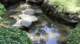 dsc00447_small.jpg