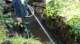 dsc00450_small.jpg