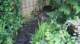 dsc00451_small.jpg