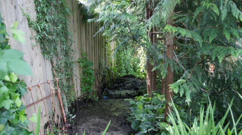 dsc00452.jpg
