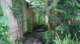 dsc00452_small.jpg