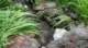 dsc00454_small.jpg