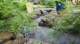 dsc00456_small.jpg