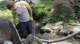 dsc00457_small.jpg