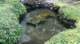 dsc00462_small.jpg