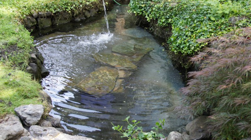 dsc00463.jpg