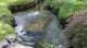 dsc00463_small.jpg