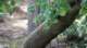 dsc00464_small.jpg