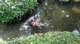 dsc00465_small.jpg