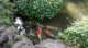 dsc00467_small.jpg