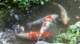 dsc00469_small.jpg
