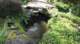 dsc00470_small.jpg