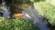 dsc00471_small.jpg