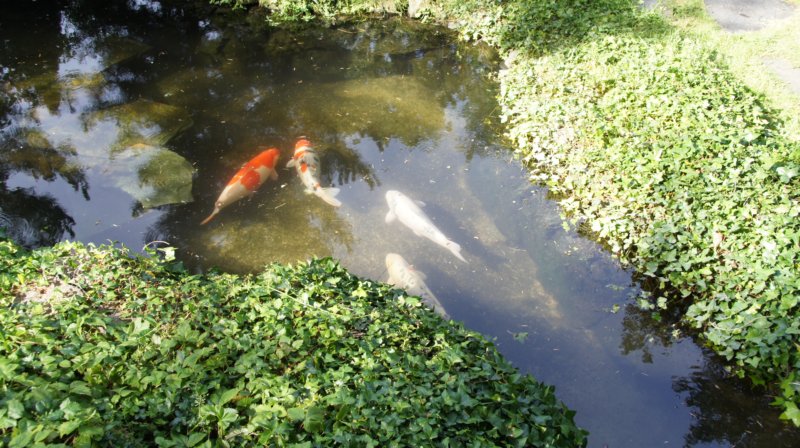 dsc00472.jpg