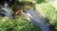 dsc00472_small.jpg