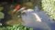 dsc00473_small.jpg