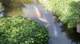 dsc00474_small.jpg
