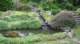 dsc00475_small.jpg
